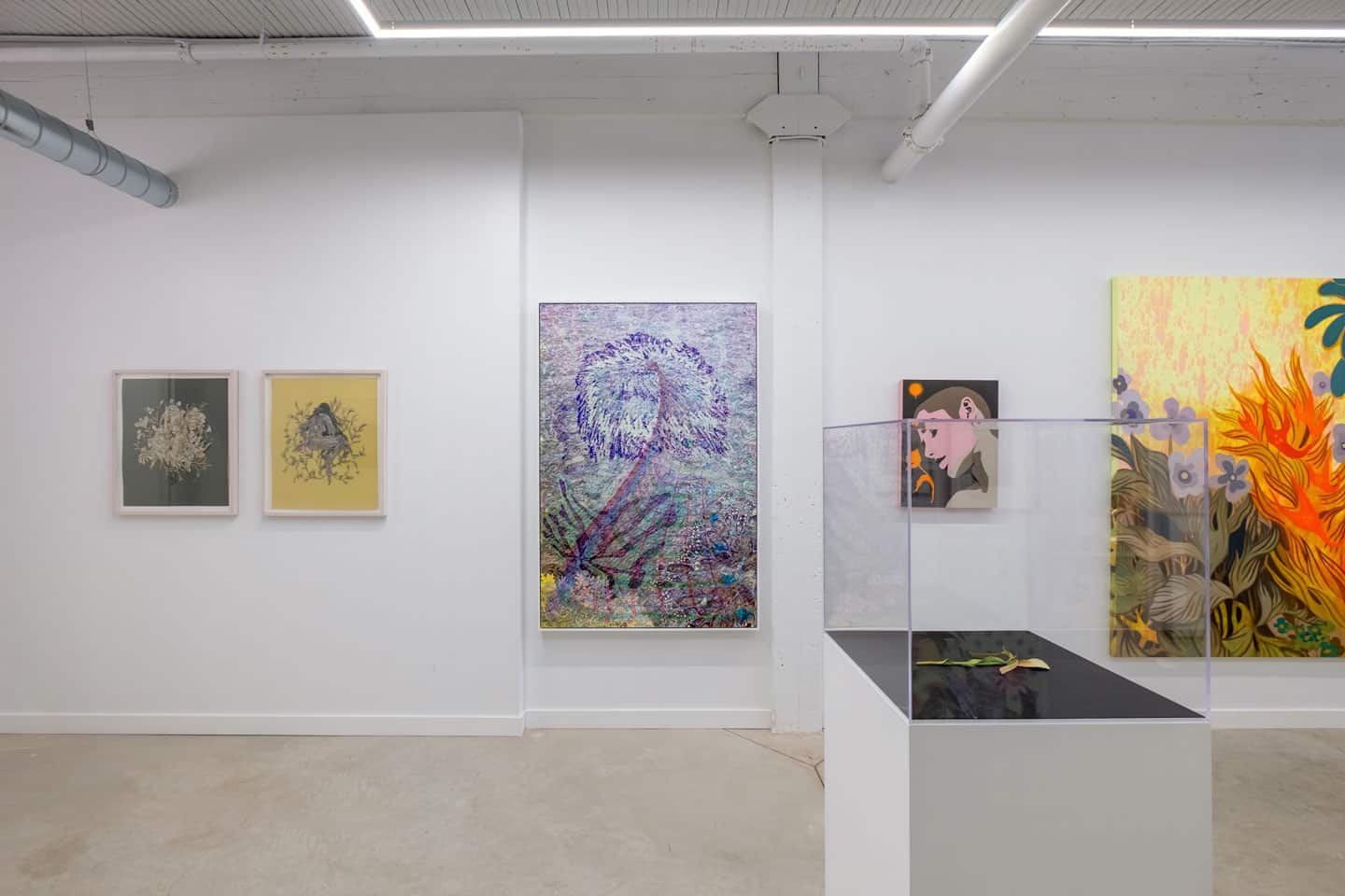 Giving Entry at NAMARA projects